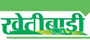 रजनीगंधा की उन्नत खेती 1 khati